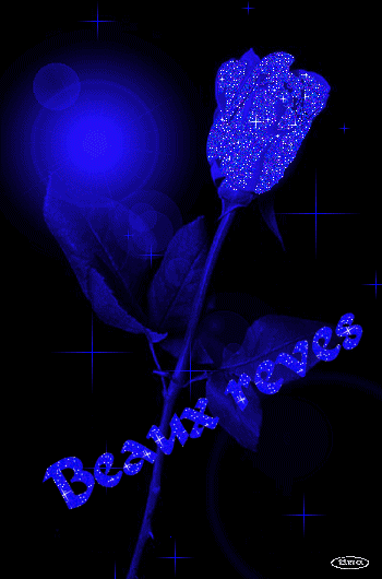 bonne nuit